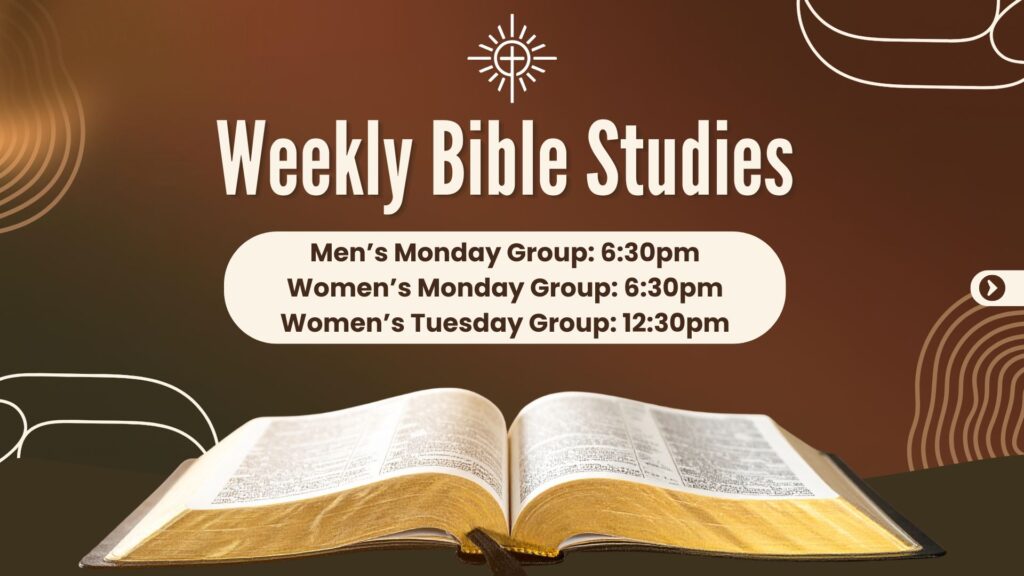 weekly studies (1)
